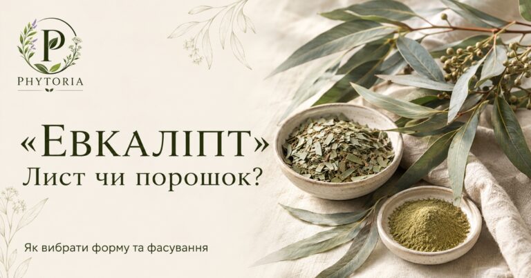 Листя евкаліпта та порошок листя у керамічних мисках — Phytoria