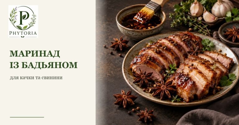 Маринад із бадьяном для качки та свинини